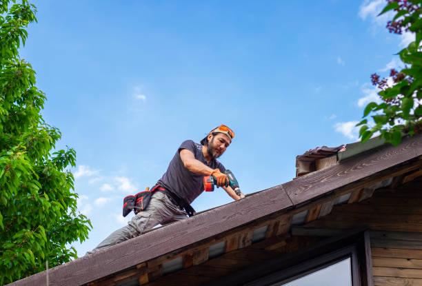 Best Solar Panel Roofing Installation  in Boise, ID